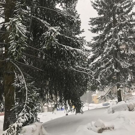 Апартаменти Julie 1 Свобода-над-Упоу Екстер'єр фото
